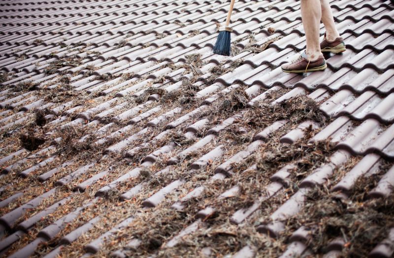 Seasonal Tile Maintenance